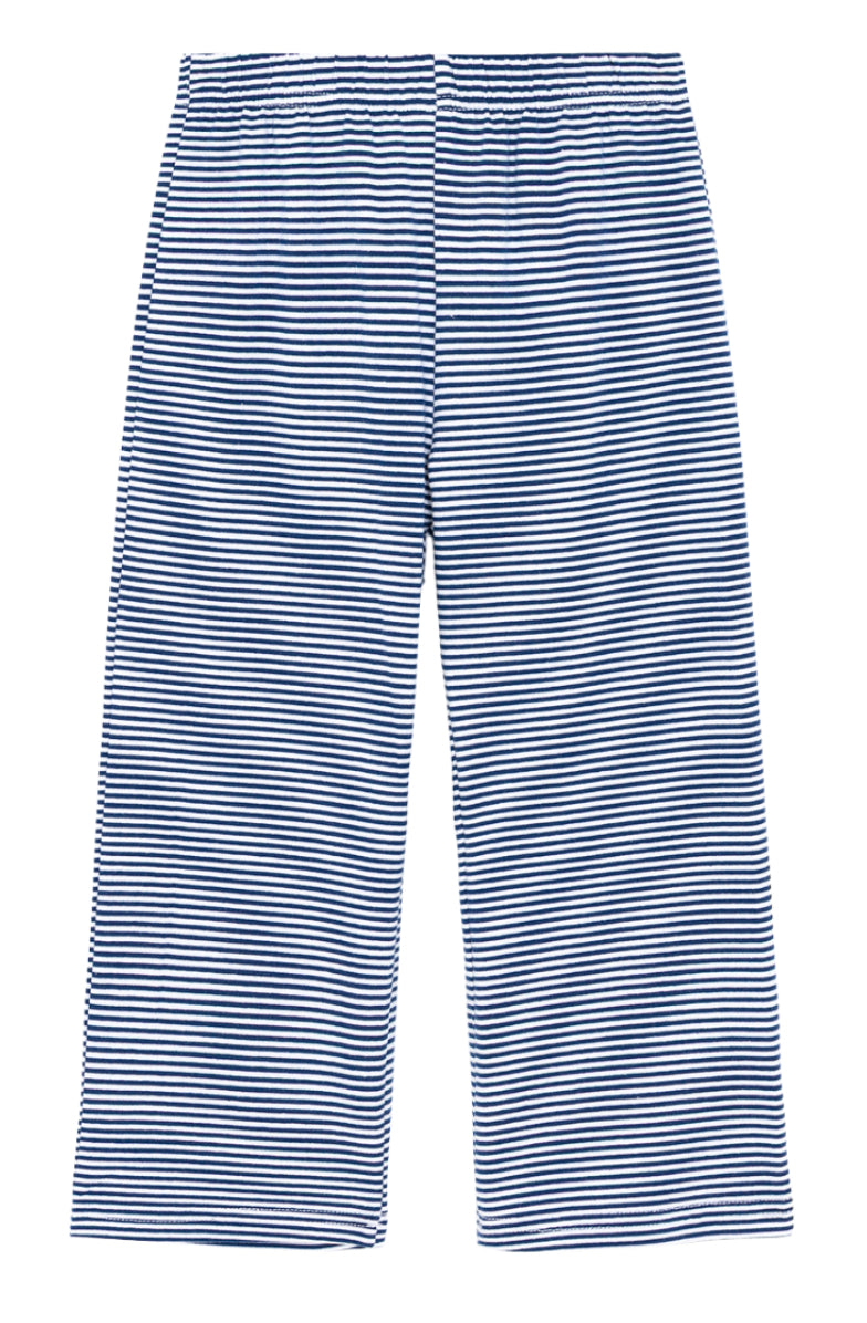 Boys Skinny Striped Pants