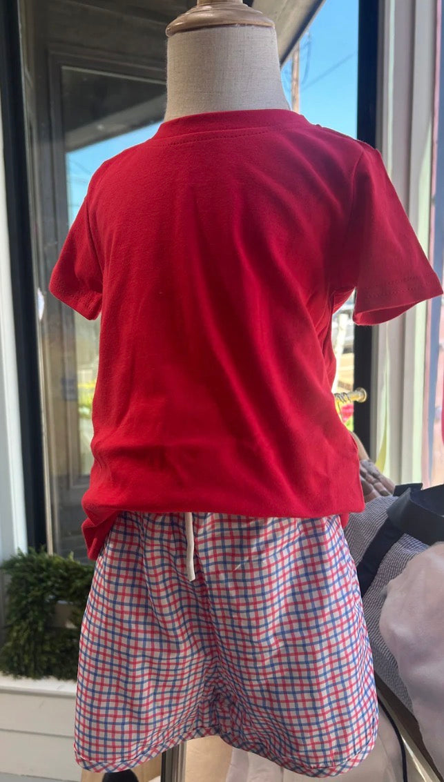 Boys Windowpane Shorts and Short Sleeve Tee Bundle