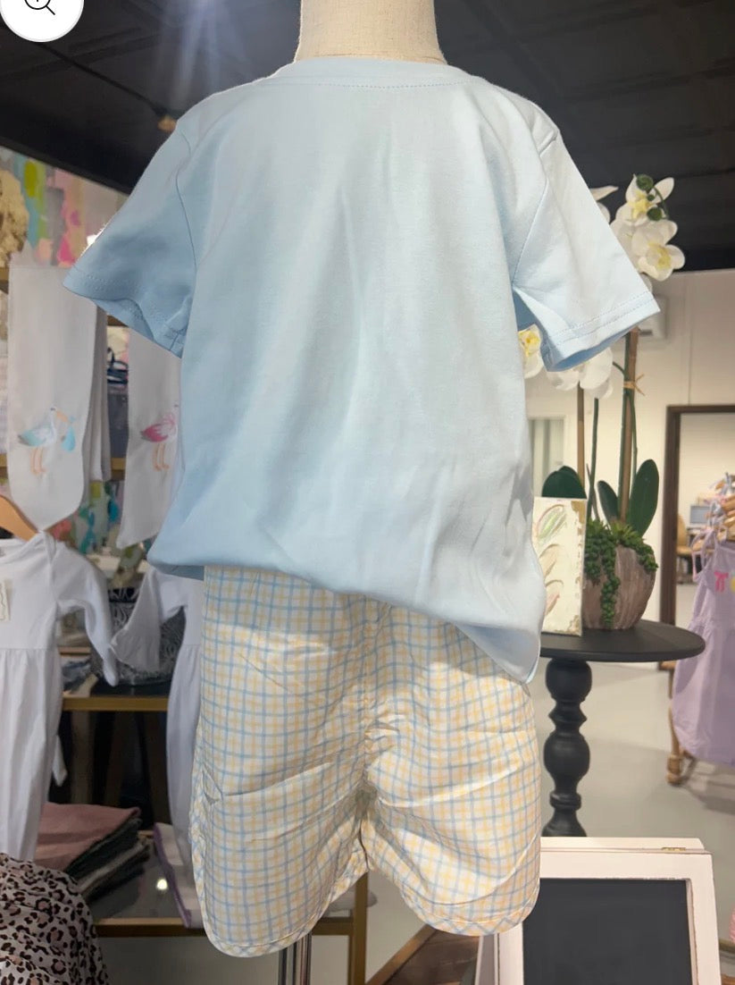 Boys Windowpane Shorts and Short Sleeve Tee Bundle