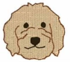 Doodle Mini
