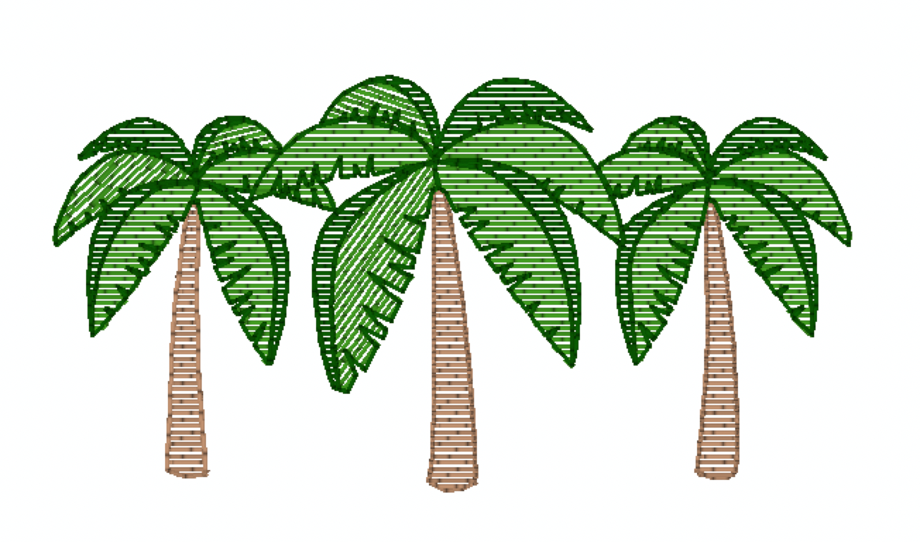 Summer Boy Palms