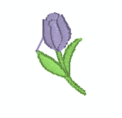 Tulip Mini.png